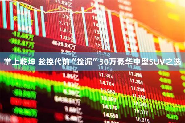 掌上乾坤 趁换代前“捡漏”30万豪华中型SUV之选