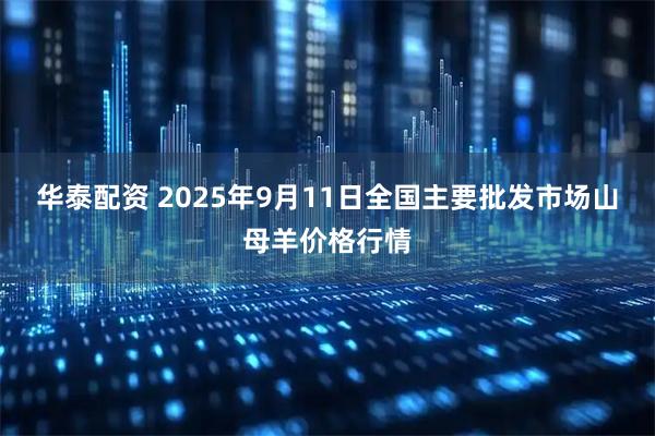 华泰配资 2025年9月11日全国主要批发市场山母羊价格行情
