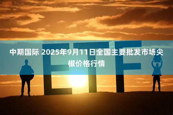 中期国际 2025年9月11日全国主要批发市场尖椒价格行情