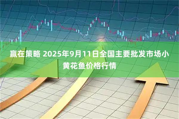 赢在策略 2025年9月11日全国主要批发市场小黄花鱼价格行情