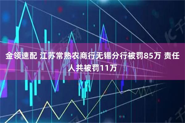 金领速配 江苏常熟农商行无锡分行被罚85万 责任人共被罚11万