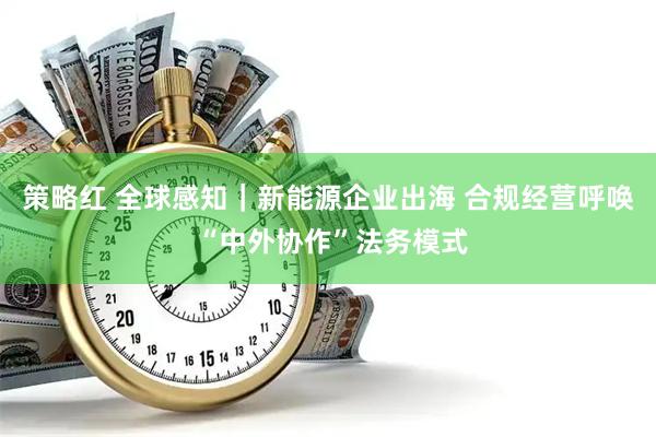 策略红 全球感知｜新能源企业出海 合规经营呼唤 “中外协作”法务模式