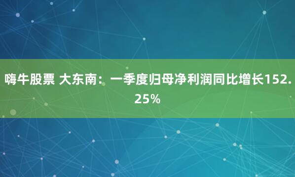 嗨牛股票 大东南：一季度归母净利润同比增长152.25%
