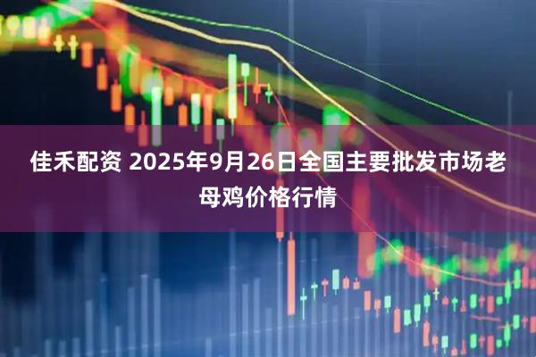 佳禾配资 2025年9月26日全国主要批发市场老母鸡价格行情
