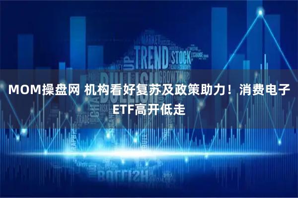 MOM操盘网 机构看好复苏及政策助力！消费电子ETF高开低走