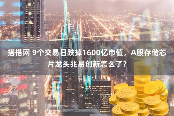 搭搭网 9个交易日跌掉1600亿市值，A股存储芯片龙头兆易创新怎么了？